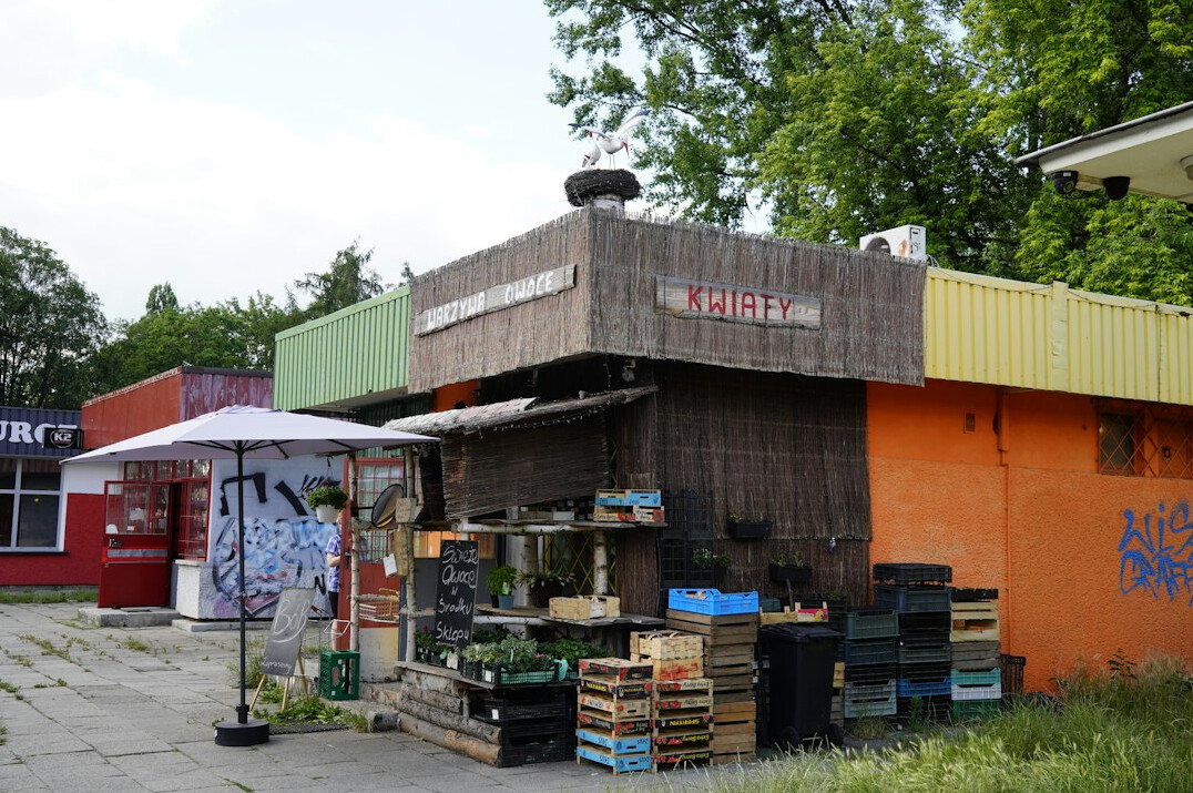 polish village street view